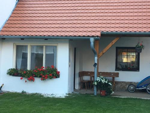 Statek Straňovice Apartmán 2 velký (Statek Stranovice Apartman 2 velky) in Ckyne