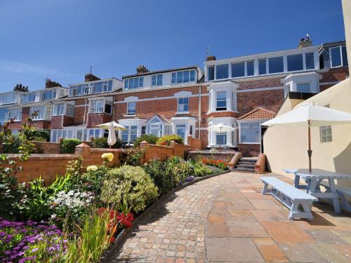 Picture of The Seagull