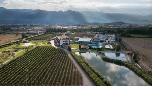Uva Nestum Wine & SPA, 