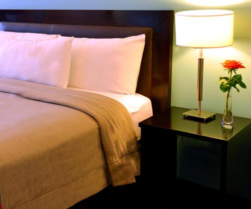 经典罗切斯特酒店