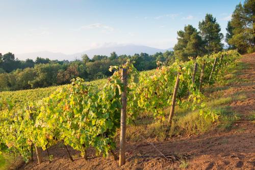 Château Canet