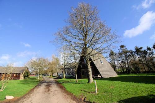 Lodges in Lanivet Cornwall with indoor pool, Bodmin (fotografie 7)