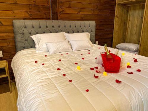 1 king bed, 1 sofa bed