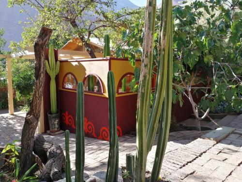 El Jardín Secreto-Pisco Elqui