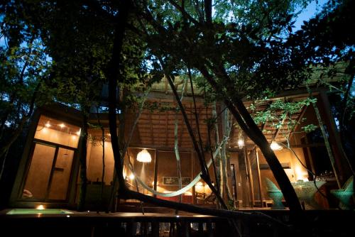 OJO DE ÁRBOL, boutique cabin in the real jungle, Cozumel