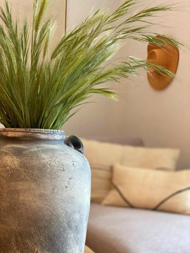  AQUI Brioca in Fuentes de la Alcarria