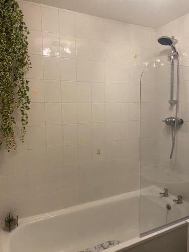 City Lights Apartment, Эдинбург (фото 5)