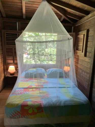 mon Ecolodge Creole 5