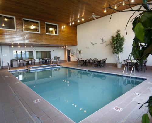 Westwood Shores Waterfront Resort - 수영장