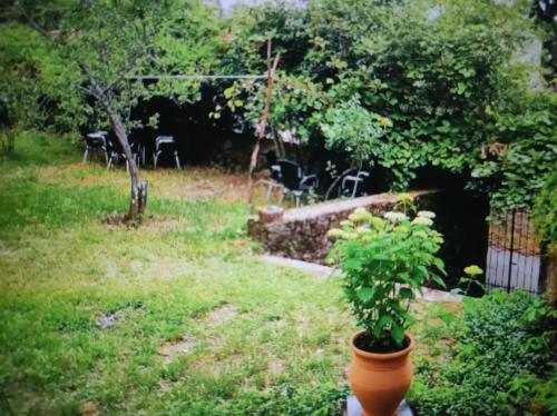 La Casita del Jardin del Conde gîte à louer Abadía