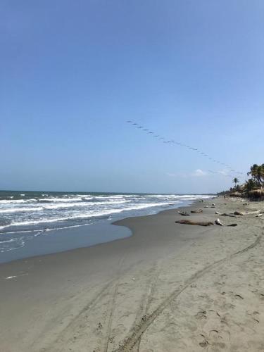 Cabaña La Blanquita (Cabana La Blanquita) in San Bernardo del Viento