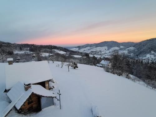Kert, Haus am Berg mit Wellnessbereich, Bar und Panorama in Buhlertal