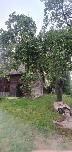 Mazurska przystań (Mazurska przystan) in Даброва