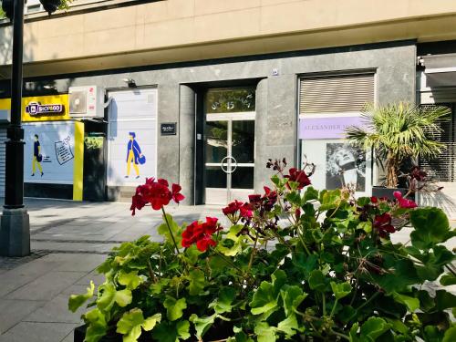 LIRRA LUXE Modern & Cozy Stari Grad Pedestrian Area - image 2