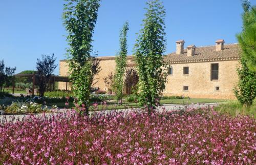 37337744 Casa Anamaria Hotel