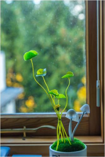 Pencarrow Boutique Lodge Pencarrow Boutique Lodge