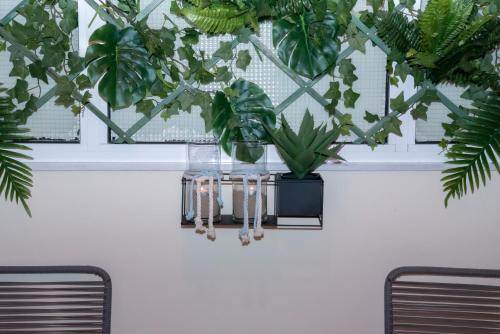 Luxury Premium Suite #1