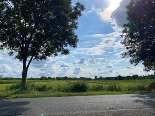 Omgivelser, A cosy house close to Giethoorn and the Weerribben-Wieden National Park, with a boat available hire in Garderen