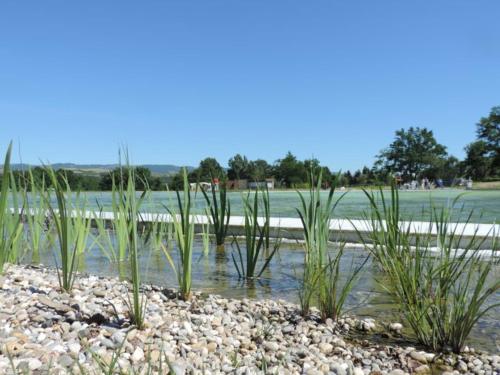 Gite a Lorette avec jardin et jeux pour enfants - FR-1-496-76 in Other