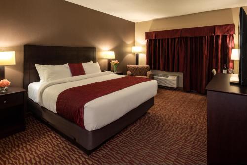 1 king bed