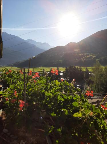 Casa ai Ross - bilocale con terrazzo vicino Bormio