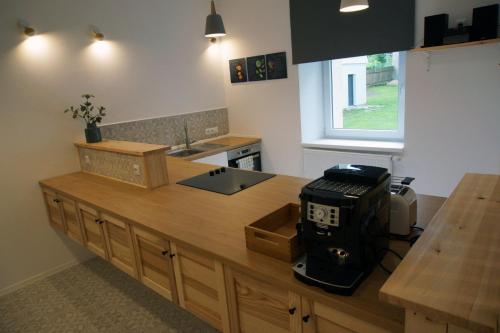 Apartmány Krásná Lípa (Apartmany Krasna Lipa) in Krasna Lipa