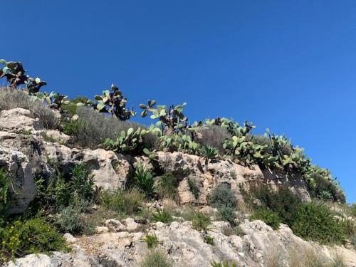 Sbarcatore dei Turchi — Photo 3