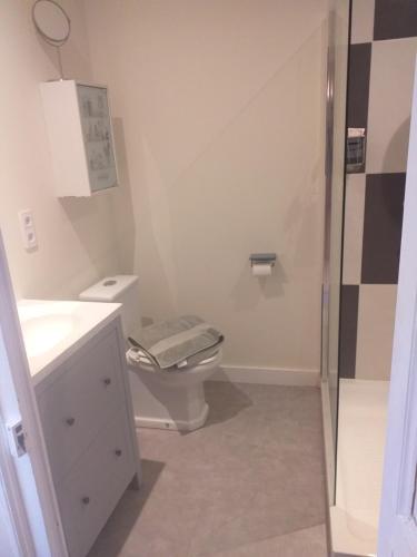 coquelicot et tulipe