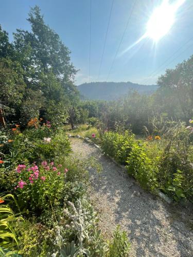 حديقة, Kokin Brod Apartments in زلاتيبور