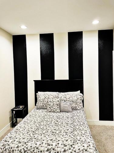 Modern Style Relaxation in Houston, Texas in Houston, USA