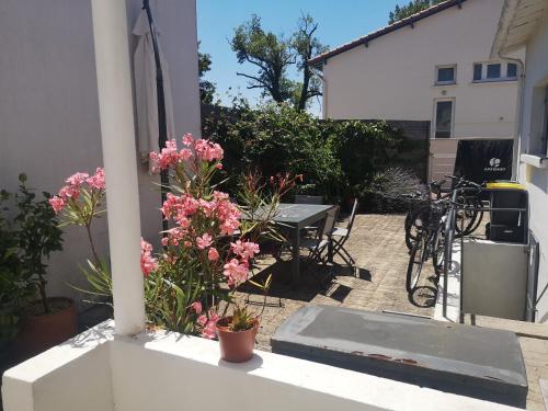 Maison de ville à Royan gîte à louer Saint-Sulpice-de-Royan