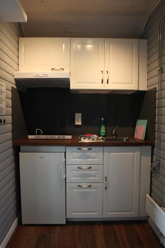 Trollforsen Camping & Cottages in 소르셀레