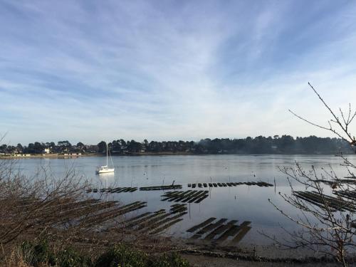 Des vacances ressourçantes dans le Golfe du Morbihan - image 11