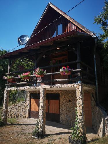 Vikendica kod Brice in Zaovine