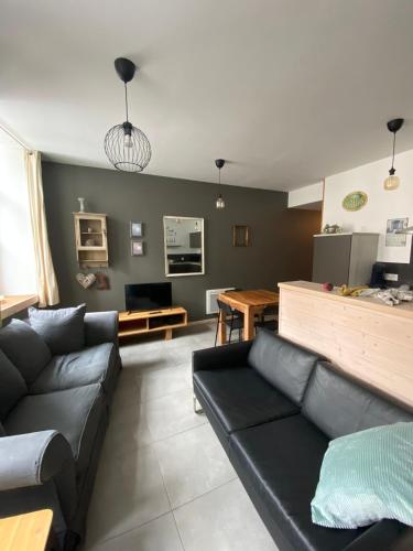 APPARTEMENT neuf au centre ville situé au rdc avec terrasse - Location saisonnière - Givet