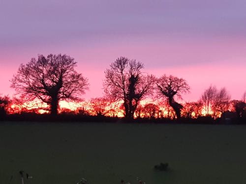 Little Holme - main image