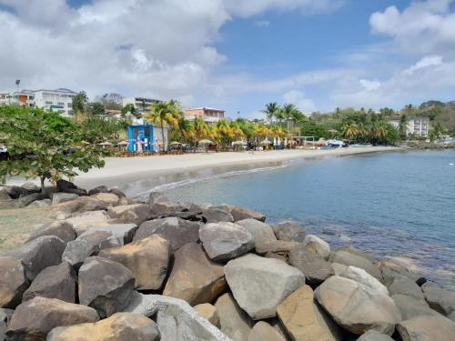 Bougainvilliers in Schœlcher