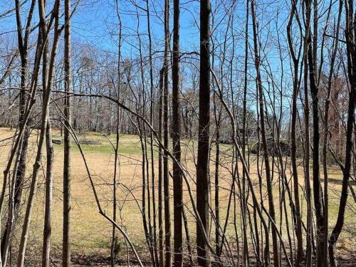 Beautiful 2 BR 1 BA Cabin in Blue Ridge Mountains: The Little White House