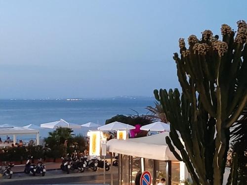 LA TERRAZZA DELL^IPPOCAMPO #Seaview apartment 1