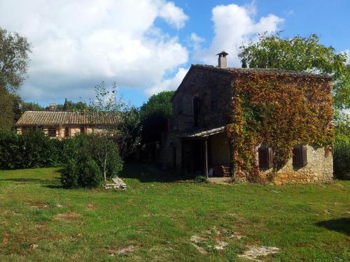 Podere Conte Racani - image 5