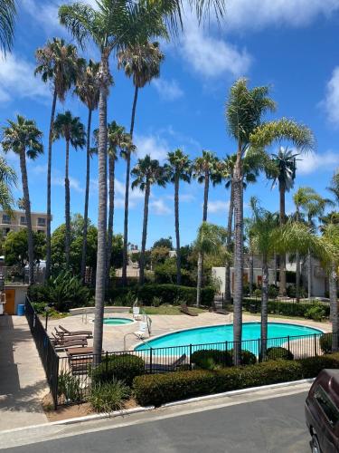 Swimming pool, Hotel Palmeras Chula Vista in Chula Vista (CA)