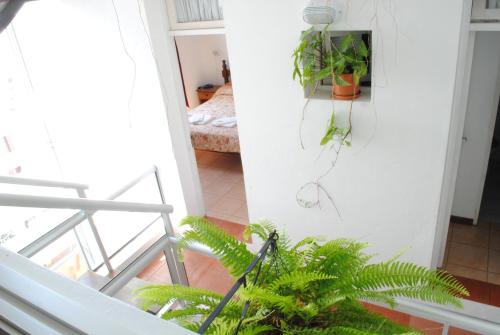 Attrezzature e servizi, Hotel Romi in Colonia del Sacramento