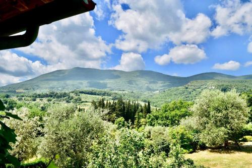 Podere Bargnano Cetona, Sleeps 12, Pool, WiFi, Air conditioning