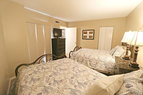 Anastasia 312 - image 6