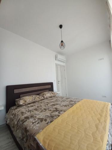 Apartmani Petrovic - image 11