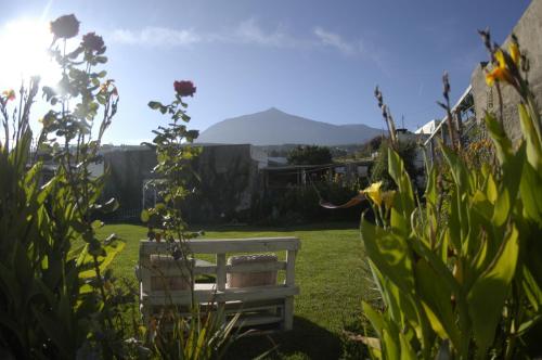 Espacio Antares B&B Icod de los Vinos 