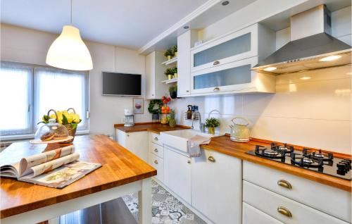 Kitchen, Amazing Home In Gornje Plavnice With Sauna in Leticani