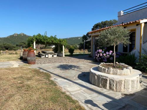 Casa di Campagna in Gallura in Luogosanto