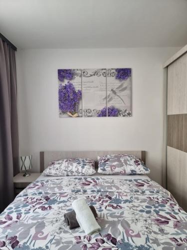 Lavanda, Livno