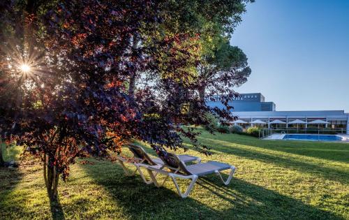 Kert, Hotel Eden Park by Brava Hoteles in Riudellots De La Selva